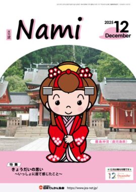 nami-2025-12sのサムネイル